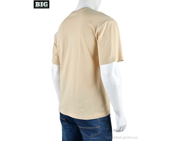 Футболка чоловіча Літо 4072-M02-4 beige (5 шт. р.сіткаM-3XL) "BIG" недорого оптом від прямого постачальника, зображення 2
