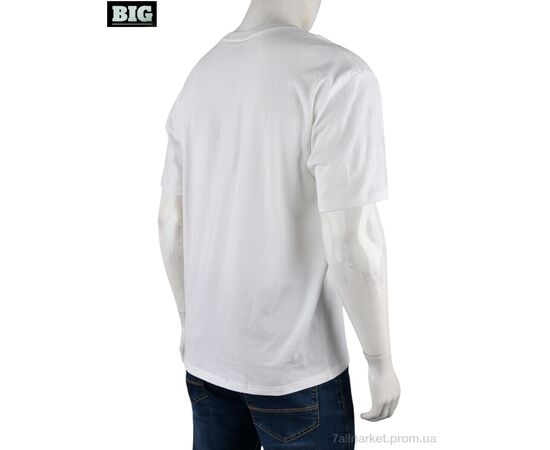 Футболка чоловіча Літо 4072-M03-2 white (5 шт. р.сіткаM-3XL) "BIG" недорого оптом від прямого постачальника, зображення 2