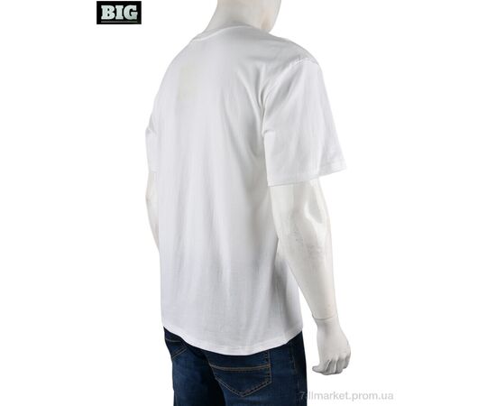 Футболка чоловіча Літо 4072-M07-2 white (5 шт. р.сіткаM-3XL) "BIG" недорого оптом від прямого постачальника, зображення 2