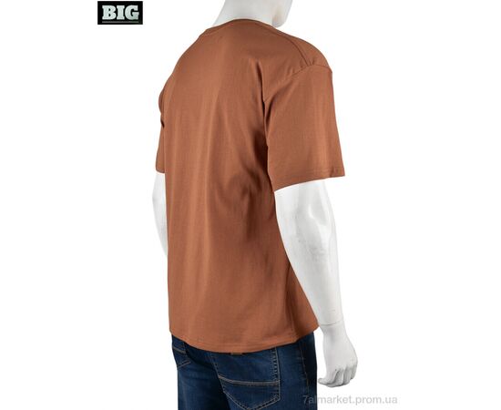 Фотография Футболка мужская Лето 4072-M04-3 brown (5 шт. р.сетка M-3XL) "BIG" недорого оптом от прямого поставщика, изображение 2