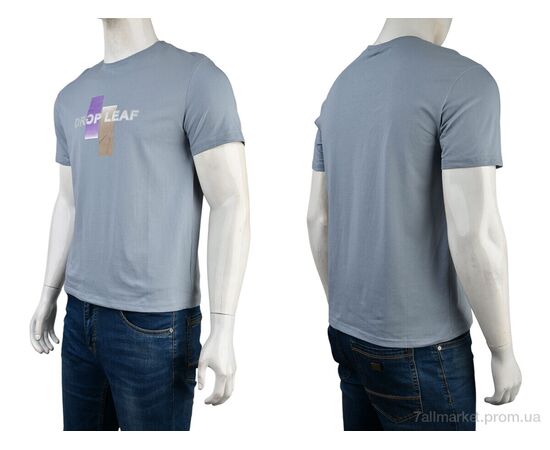 Футболка чоловіча Літо 4117-NT48-13-5 grey (5 шт. р.сітка48-56) "Мир" недорого оптом від прямого постачальника, зображення 3 Футболка чоловіча Літо 4117-NT48-13-5 grey (5 шт. р.сітка48-56) "Мир" недорого оптом від прямого постачальника, зображення 3