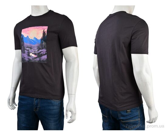 Футболка чоловіча Літо 4117-NT48-18-4 grey (5 шт. р.сітка48-56) "Мир" недорого оптом від прямого постачальника, зображення 3 Футболка чоловіча Літо 4117-NT48-18-4 grey (5 шт. р.сітка48-56) "Мир" недорого оптом від прямого постачальника, зображення 3