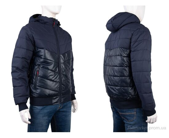 Куртка мужская Весна/осень 4202-2239-2 navy (5 шт. р.сетка 48-56) "Мир" недорого оптом от прямого поставщика, изображение 3 Фотография Куртка мужская Весна/осень 4202-2239-2 navy (5 шт. р.сетка 48-56) "Мир" недорого оптом от прямого поставщика, изображение 3