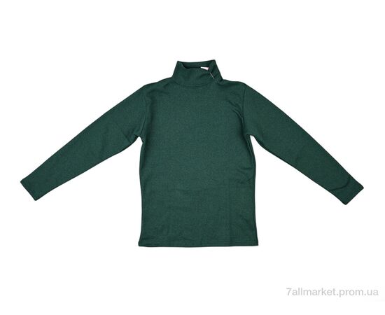 Гольфы женские Весна/осень 0020 green (2 шт. р.сетка 2XL-3XL) "Textile" недорого оптом от прямого поставщика Фотография Гольфы женские Весна/осень 0020 green (2 шт. р.сетка 2XL-3XL) "Textile" недорого оптом от прямого поставщика