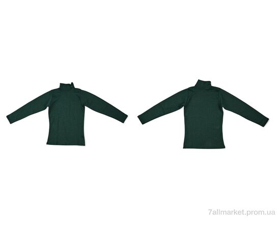 Гольфы женские Весна/осень 0010 green (4 шт. р.сетка S-XL) "Textile" недорого оптом от прямого поставщика, изображение 3 Фотография Гольфы женские Весна/осень 0010 green (4 шт. р.сетка S-XL) "Textile" недорого оптом от прямого поставщика, изображение 3