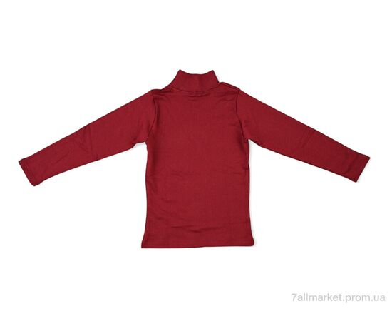 Гольфы женские Весна/осень 008 bordo (4 шт. р.сетка S-XL) "Textile" недорого оптом от прямого поставщика, изображение 2 Фотография Гольфы женские Весна/осень 008 bordo (4 шт. р.сетка S-XL) "Textile" недорого оптом от прямого поставщика, изображение 2