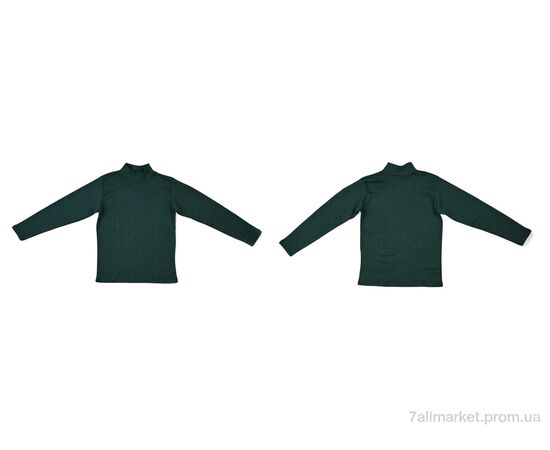 Гольфы женские Весна/осень 0023 green (2 шт. р.сетка 2XL-3XL) "Textile" недорого оптом от прямого поставщика, изображение 3 Фотография Гольфы женские Весна/осень 0023 green (2 шт. р.сетка 2XL-3XL) "Textile" недорого оптом от прямого поставщика, изображение 3