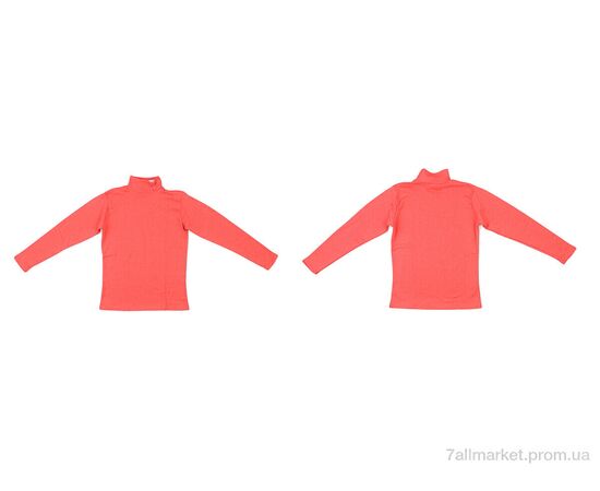 Гольфы женские Весна/осень 0022 orange (2 шт. р.сетка 2XL-3XL) "Textile" недорого оптом от прямого поставщика, изображение 3 Фотография Гольфы женские Весна/осень 0022 orange (2 шт. р.сетка 2XL-3XL) "Textile" недорого оптом от прямого поставщика, изображение 3