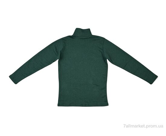Гольфы женские Весна/осень 0020 green (2 шт. р.сетка 2XL-3XL) "Textile" недорого оптом от прямого поставщика, изображение 2 Фотография Гольфы женские Весна/осень 0020 green (2 шт. р.сетка 2XL-3XL) "Textile" недорого оптом от прямого поставщика, изображение 2