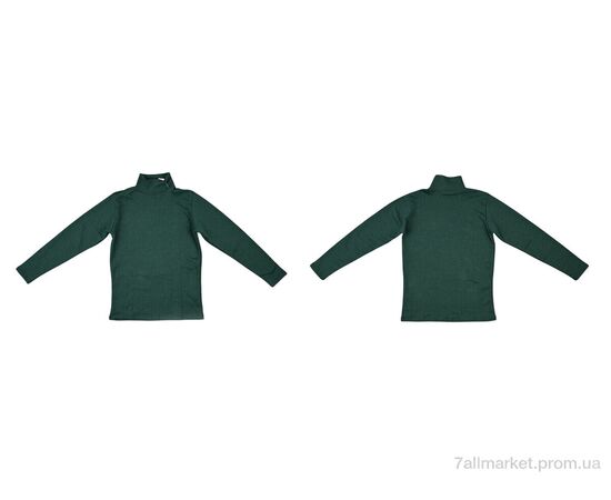 Гольфы женские Весна/осень 0020 green (2 шт. р.сетка 2XL-3XL) "Textile" недорого оптом от прямого поставщика, изображение 3 Фотография Гольфы женские Весна/осень 0020 green (2 шт. р.сетка 2XL-3XL) "Textile" недорого оптом от прямого поставщика, изображение 3