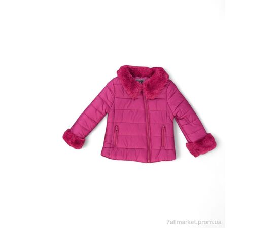 Куртка дитяча Весна/осінь D218 (04288-1) fuchsia (4 шт. р.сітка3-6) "Obuvok" недорого оптом від прямого постачальника Куртка дитяча Весна/осінь D218 (04288-1) fuchsia (4 шт. р.сітка3-6) "Obuvok" недорого оптом від прямого постачальника