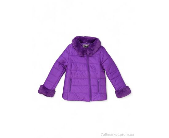 Куртка дитяча Весна/осінь D218 (04287) violet (4 шт. р.сітка7-16) "Obuvok" недорого оптом від прямого постачальника Куртка дитяча Весна/осінь D218 (04287) violet (4 шт. р.сітка7-16) "Obuvok" недорого оптом від прямого постачальника