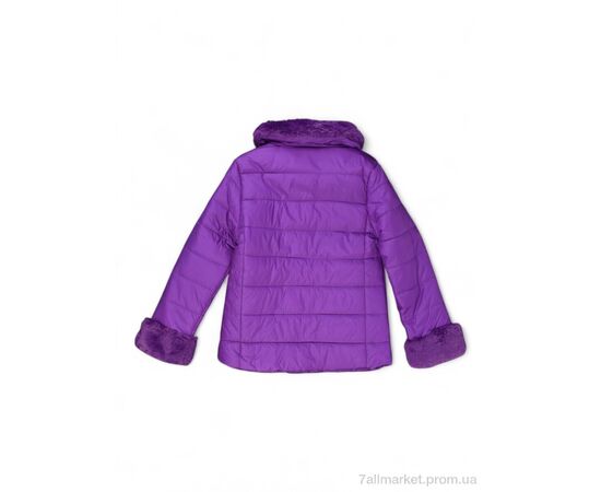 Куртка дитяча Весна/осінь D218 (04287) violet (4 шт. р.сітка7-16) "Obuvok" недорого оптом від прямого постачальника, зображення 2 Куртка дитяча Весна/осінь D218 (04287) violet (4 шт. р.сітка7-16) "Obuvok" недорого оптом від прямого постачальника, зображення 2