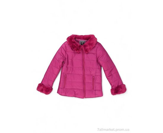 Куртка дитяча Весна/осінь D218 (04288) fuchsia (4 шт. р.сітка7-16) "Obuvok" недорого оптом від прямого постачальника Куртка дитяча Весна/осінь D218 (04288) fuchsia (4 шт. р.сітка7-16) "Obuvok" недорого оптом від прямого постачальника