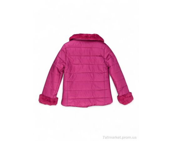 Куртка дитяча Весна/осінь D218 (04288) fuchsia (4 шт. р.сітка7-16) "Obuvok" недорого оптом від прямого постачальника, зображення 2 Куртка дитяча Весна/осінь D218 (04288) fuchsia (4 шт. р.сітка7-16) "Obuvok" недорого оптом від прямого постачальника, зображення 2