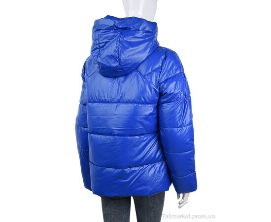 Куртка жіноча Зима 213 (09305) blue (4 шт. р.сіткаM-2XL) "Obuvok" недорого оптом від прямого постачальника, зображення 2 Куртка жіноча Зима 213 (09305) blue (4 шт. р.сіткаM-2XL) "Obuvok" недорого оптом від прямого постачальника, зображення 2