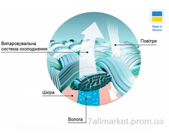 Футболка мужская Лето Coolmax 002-1 чорний (5 шт. р.сетка M-3XL) "Алия" недорого оптом от прямого поставщика, изображение 2 Фотография Футболка мужская Лето Coolmax 002-1 чорний (5 шт. р.сетка M-3XL) "Алия" недорого оптом от прямого поставщика, изображение 2