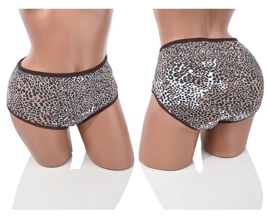 Фотография Трусы женские 003-02-3 brown  08990 р.3XL "Obuv OK2" недорого оптом от прямого поставщика, изображение 3