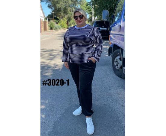 Штаны спортивные женские 3020-1 black р.54-60 "ZLATA" недорого оптом от прямого поставщика Фотография Штаны спортивные женские 3020-1 black р.54-60 "ZLATA" недорого оптом от прямого поставщика