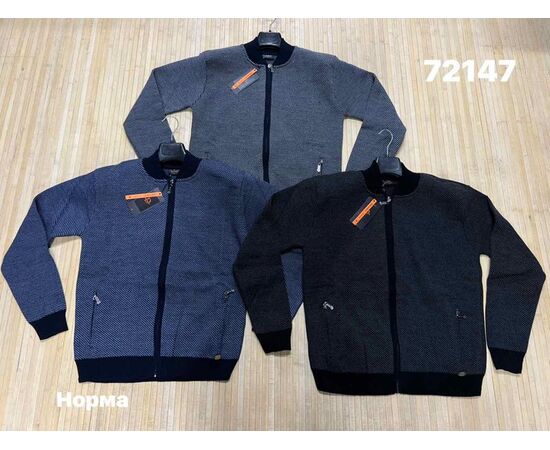 Кофта спортивная мужская 72147 blue р.L-2XL "Navas" недорого оптом от прямого поставщика Фотография Кофта спортивная мужская 72147 blue р.L-2XL "Navas" недорого оптом от прямого поставщика