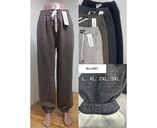 Штаны спортивные женские тёплые 4981 d.grey р.L-3XL "WELL" недорого оптом от прямого поставщика Фотография Штаны спортивные женские тёплые 4981 d.grey р.L-3XL "WELL" недорого оптом от прямого поставщика