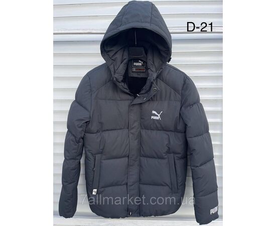 Куртка мужская зимняя молодёжная размеры 48-56 (3цв)"SPORT" купить недорого от прямого поставщика Фотография Куртка мужская зимняя молодёжная размеры 48-56 (3цв)"SPORT" купить недорого от прямого поставщика