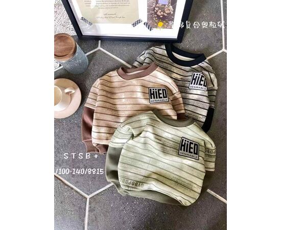 Светер Дитячий на хлопчика 8815 beige р.3-7 "Фунтик" недорого оптом від прямого постачальника Светер Дитячий на хлопчика 8815 beige р.3-7 "Фунтик" недорого оптом від прямого постачальника