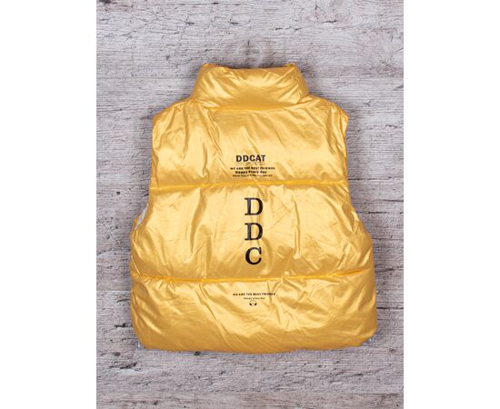 Жилетка детская унисекс 3790-16 р.110-150 "BIG clothes" недорого оптом от прямого поставщика, изображение 2 Фотография Жилетка детская унисекс 3790-16 р.110-150 "BIG clothes" недорого оптом от прямого поставщика, изображение 2