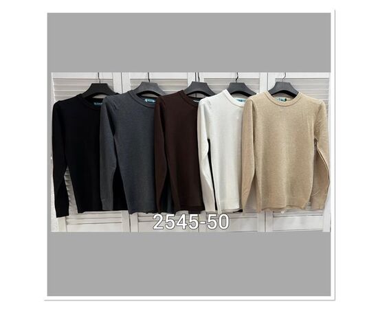 Светр чоловічий 2545-50 brown р.M-L "LOOK" недорого оптом від прямого постачальника Светр чоловічий 2545-50 brown р.M-L "LOOK" недорого оптом від прямого постачальника