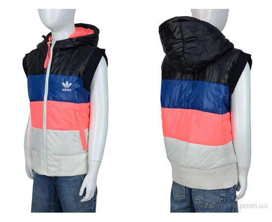 Жилетка детская Зима 58673-1 (07149) (5 шт. р.сетка 34-42) "Obuvok" недорого оптом от прямого поставщика, изображение 4 Фотография Жилетка детская Зима 58673-1 (07149) (5 шт. р.сетка 34-42) "Obuvok" недорого оптом от прямого поставщика, изображение 4