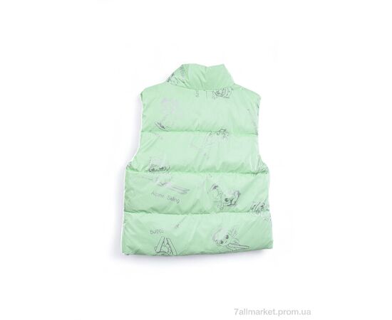 Жилетка детская Весна/осень 3790-12 l.green (5 шт. р.сетка 90-130) "Мир" недорого оптом от прямого поставщика, изображение 2 Фотография Жилетка детская Весна/осень 3790-12 l.green (5 шт. р.сетка 90-130) "Мир" недорого оптом от прямого поставщика, изображение 2
