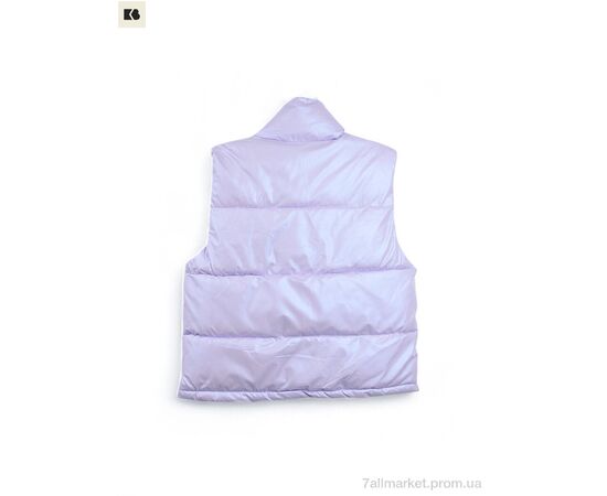 Жилетка дитяча Весна/осінь 3790-6 violet (5 шт. р.сітка100-140) "BIG" недорого оптом від прямого постачальника, зображення 2 Жилетка дитяча Весна/осінь 3790-6 violet (5 шт. р.сітка100-140) "BIG" недорого оптом від прямого постачальника, зображення 2