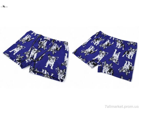 Труси дитячі Весна/осінь GKID11 dog blue (131-140) (1 шт. р.сіткаOne size) "NOVA VIDNOVA" недорого оптом від прямого постачальника, зображення 4 Труси дитячі Весна/осінь GKID11 dog blue (131-140) (1 шт. р.сіткаOne size) "NOVA VIDNOVA" недорого оптом від прямого постачальника, зображення 4