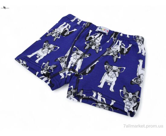 Труси дитячі Весна/осінь GKID11 dog blue (146-152) (1 шт. р.сіткаOne size) "NOVA VIDNOVA" недорого оптом від прямого постачальника Труси дитячі Весна/осінь GKID11 dog blue (146-152) (1 шт. р.сіткаOne size) "NOVA VIDNOVA" недорого оптом від прямого постачальника