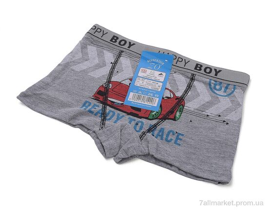 Трусы детские Весна/осень Z02108 mix (6 шт. р.сетка S-XL) "Look&Buy Clothes" недорого оптом от прямого поставщика, изображение 2 Фотография Трусы детские Весна/осень Z02108 mix (6 шт. р.сетка S-XL) "Look&Buy Clothes" недорого оптом от прямого поставщика, изображение 2