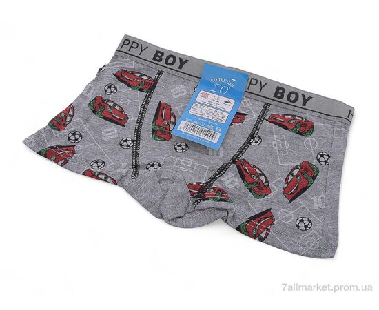 Трусы детские Весна/осень Z02110 mix (6 шт. р.сетка S-XL) "Look&Buy Clothes" недорого оптом от прямого поставщика, изображение 2 Фотография Трусы детские Весна/осень Z02110 mix (6 шт. р.сетка S-XL) "Look&Buy Clothes" недорого оптом от прямого поставщика, изображение 2