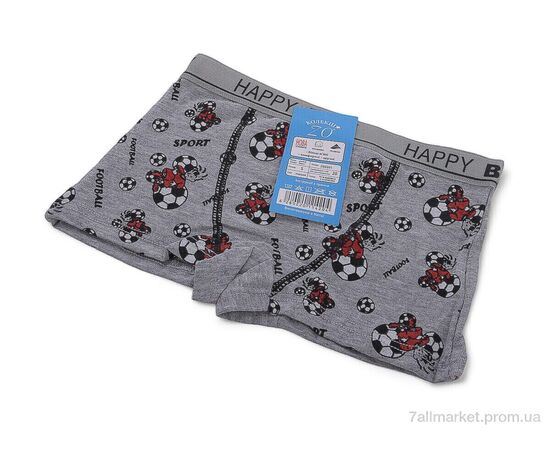 Трусы детские Весна/осень Z02201 mix (6 шт. р.сетка S-XL) "Look&Buy Clothes" недорого оптом от прямого поставщика, изображение 2 Фотография Трусы детские Весна/осень Z02201 mix (6 шт. р.сетка S-XL) "Look&Buy Clothes" недорого оптом от прямого поставщика, изображение 2