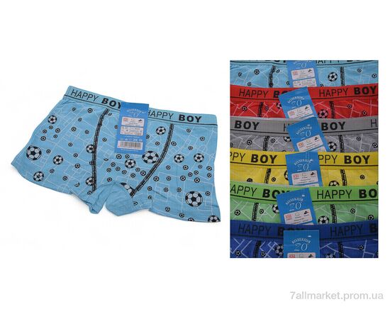 Трусы детские Весна/осень Z02202 mix (6 шт. р.сетка S-XL) "Look&Buy Clothes" недорого оптом от прямого поставщика Фотография Трусы детские Весна/осень Z02202 mix (6 шт. р.сетка S-XL) "Look&Buy Clothes" недорого оптом от прямого поставщика