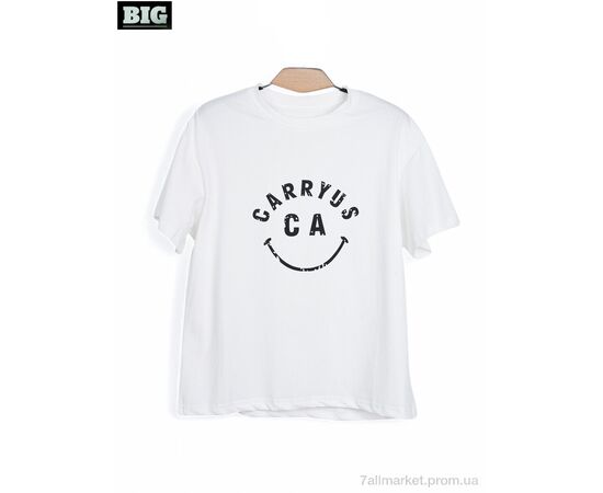 Футболка унісекс Літо 3972-170-1 white (5 шт. р.сітка130-170) "BIG" недорого оптом від прямого постачальника Футболка унісекс Літо 3972-170-1 white (5 шт. р.сітка130-170) "BIG" недорого оптом від прямого постачальника