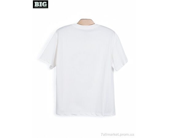 Футболка унісекс Літо 3972-170-1 white (5 шт. р.сітка130-170) "BIG" недорого оптом від прямого постачальника, зображення 2 Футболка унісекс Літо 3972-170-1 white (5 шт. р.сітка130-170) "BIG" недорого оптом від прямого постачальника, зображення 2