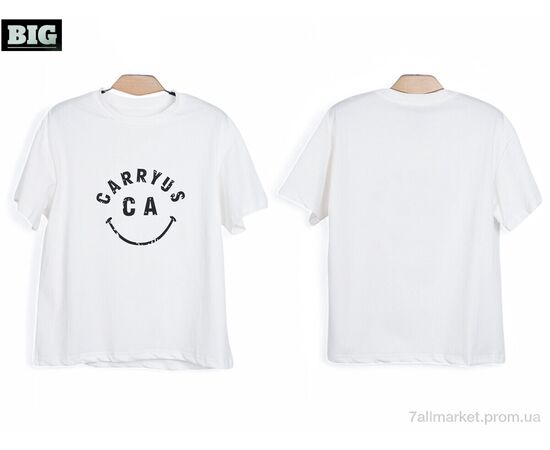 Футболка унісекс Літо 3972-170-1 white (5 шт. р.сітка130-170) "BIG" недорого оптом від прямого постачальника, зображення 3 Футболка унісекс Літо 3972-170-1 white (5 шт. р.сітка130-170) "BIG" недорого оптом від прямого постачальника, зображення 3