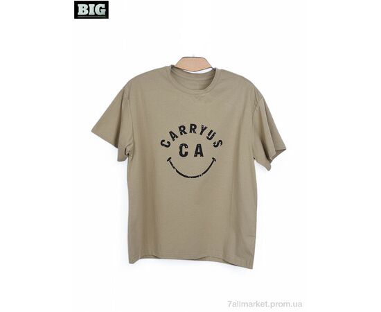 Футболка унісекс Літо 3972-170-3 khaki (5 шт. р.сітка130-170) "BIG" недорого оптом від прямого постачальника Футболка унісекс Літо 3972-170-3 khaki (5 шт. р.сітка130-170) "BIG" недорого оптом від прямого постачальника