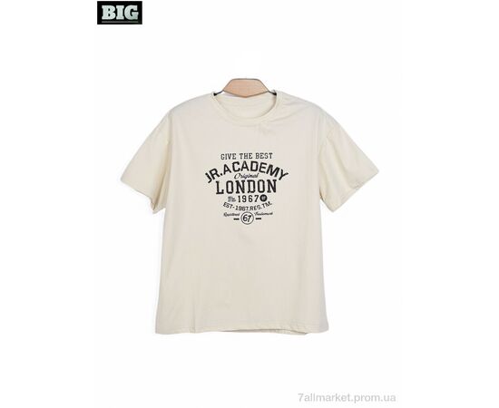 Футболка унисекс Лето 3972-170-6 beige (5 шт. р.сетка 130-170) "BIG" недорого оптом от прямого поставщика Фотография Футболка унисекс Лето 3972-170-6 beige (5 шт. р.сетка 130-170) "BIG" недорого оптом от прямого поставщика