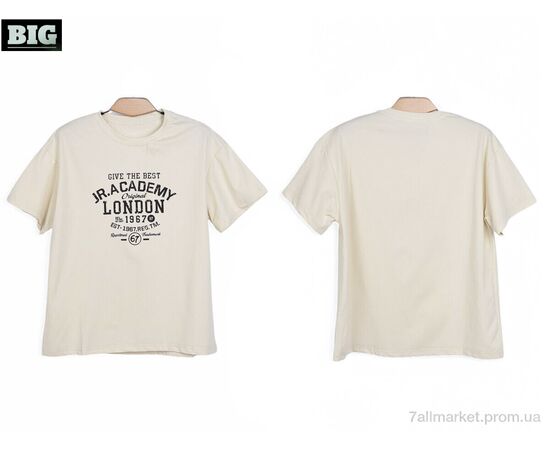 Футболка унисекс Лето 3972-170-6 beige (5 шт. р.сетка 130-170) "BIG" недорого оптом от прямого поставщика, изображение 3 Фотография Футболка унисекс Лето 3972-170-6 beige (5 шт. р.сетка 130-170) "BIG" недорого оптом от прямого поставщика, изображение 3