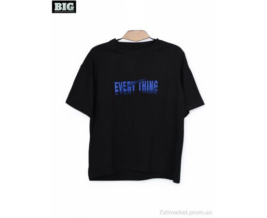 Футболка унисекс Лето 3972-160-1 black (5 шт. р.сетка 120-160) "BIG" недорого оптом от прямого поставщика Фотография Футболка унисекс Лето 3972-160-1 black (5 шт. р.сетка 120-160) "BIG" недорого оптом от прямого поставщика