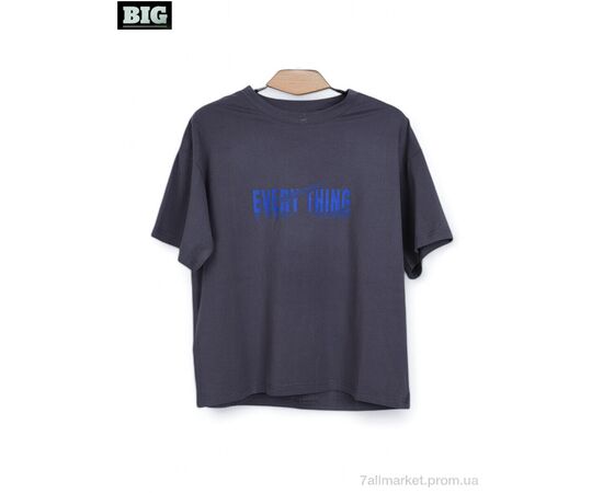 Футболка унисекс Лето 3972-160-4 grey (5 шт. р.сетка 120-160) "BIG" недорого оптом от прямого поставщика Фотография Футболка унисекс Лето 3972-160-4 grey (5 шт. р.сетка 120-160) "BIG" недорого оптом от прямого поставщика