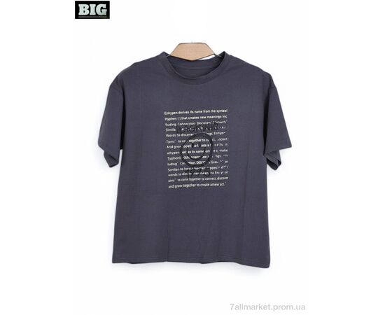 Футболка унисекс Лето 3972-160-3 grey (5 шт. р.сетка 120-160) "BIG" недорого оптом от прямого поставщика Фотография Футболка унисекс Лето 3972-160-3 grey (5 шт. р.сетка 120-160) "BIG" недорого оптом от прямого поставщика