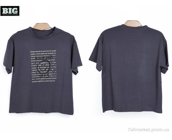 Футболка унисекс Лето 3972-160-3 grey (5 шт. р.сетка 120-160) "BIG" недорого оптом от прямого поставщика, изображение 3 Фотография Футболка унисекс Лето 3972-160-3 grey (5 шт. р.сетка 120-160) "BIG" недорого оптом от прямого поставщика, изображение 3