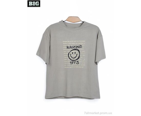 Футболка унисекс Лето 3972-160-6 grey (5 шт. р.сетка 120-160) "BIG" недорого оптом от прямого поставщика Фотография Футболка унисекс Лето 3972-160-6 grey (5 шт. р.сетка 120-160) "BIG" недорого оптом от прямого поставщика