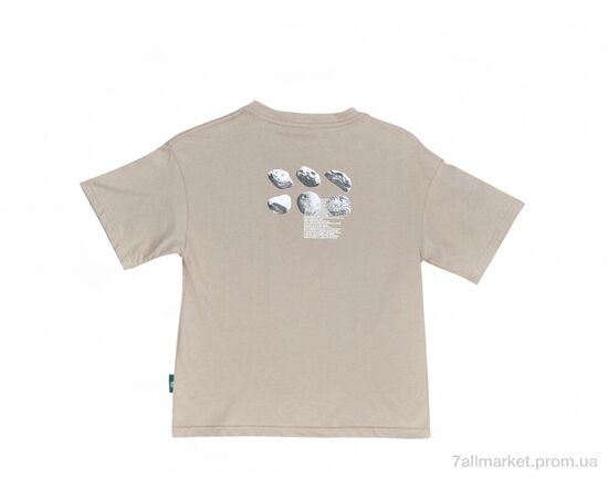 Футболка детская Лето 818 beige (5 шт. р.сетка 110-150) "Baron" недорого оптом от прямого поставщика, изображение 2 Фотография Футболка детская Лето 818 beige (5 шт. р.сетка 110-150) "Baron" недорого оптом от прямого поставщика, изображение 2